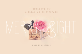 Merry Light: A Designer’s Honest Review